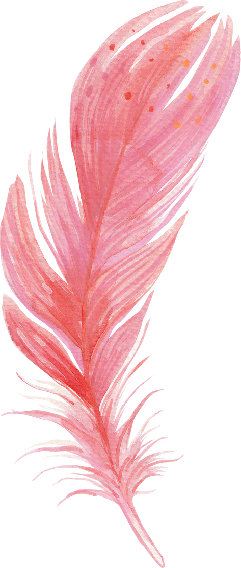 Watercolour Feather